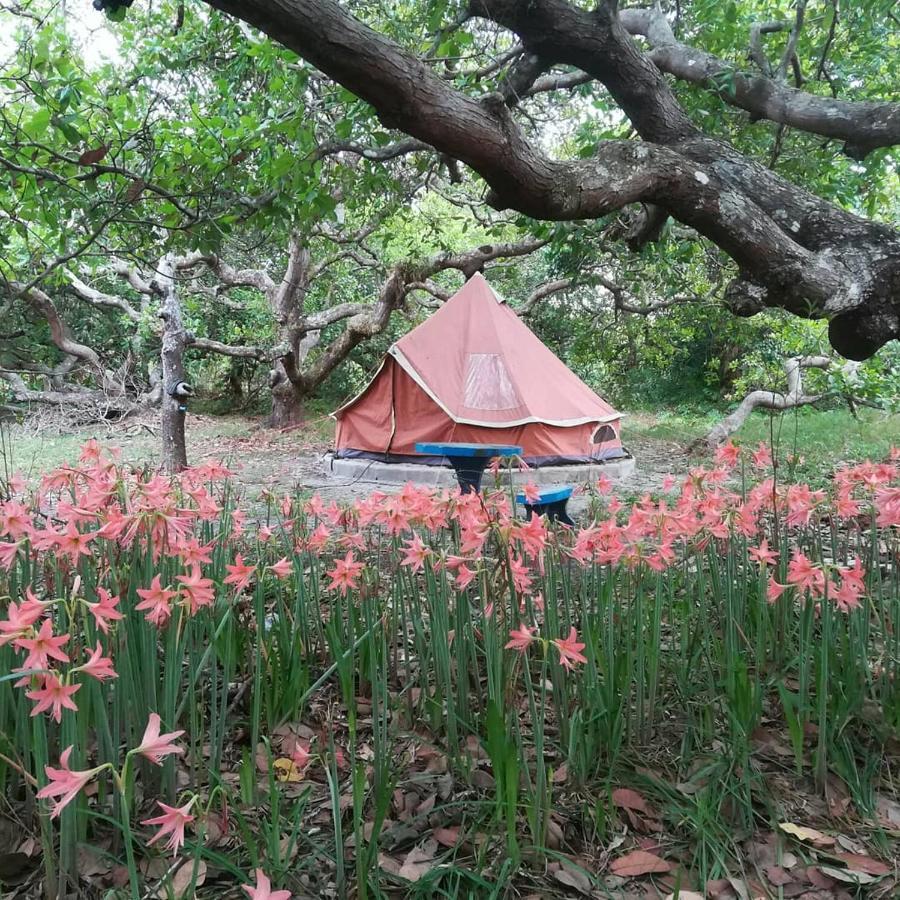 Cashew Nut Bungalow, Ko Mook Экстерьер фото